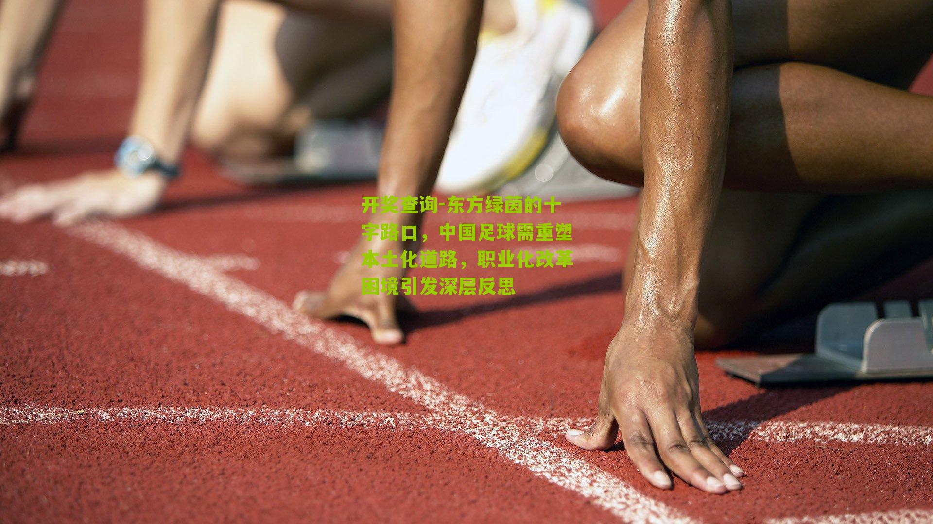 东方绿茵的十字路口，中国足球需重塑本土化道路，职业化改革困境引发深层反思