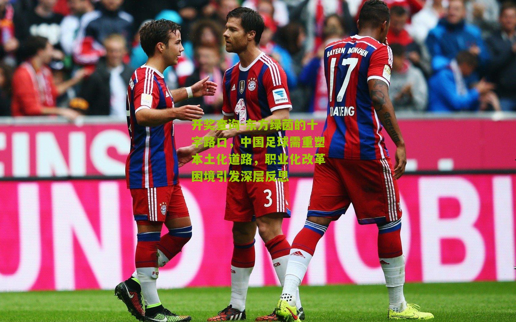 东方绿茵的十字路口，中国足球需重塑本土化道路，职业化改革困境引发深层反思