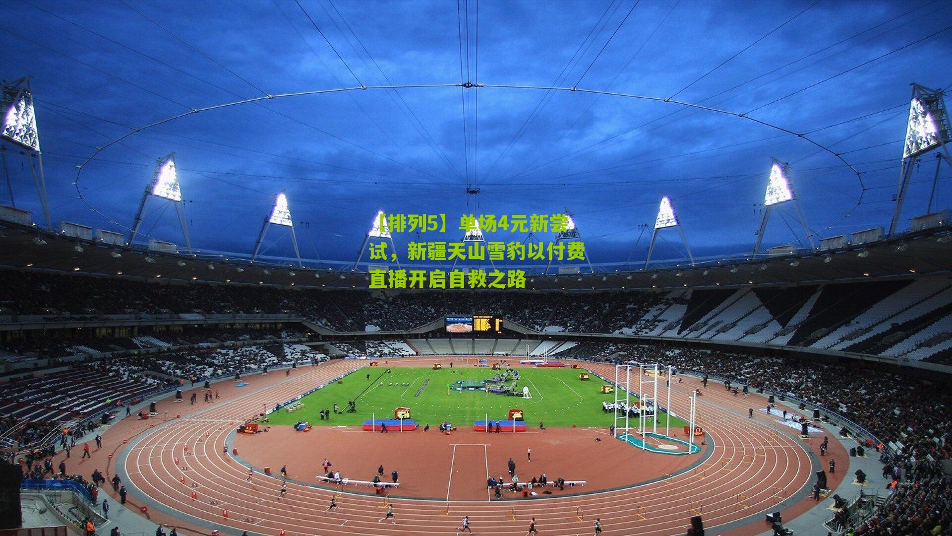 单场4元新尝试,新疆天山雪豹以付费直播开启自救之路