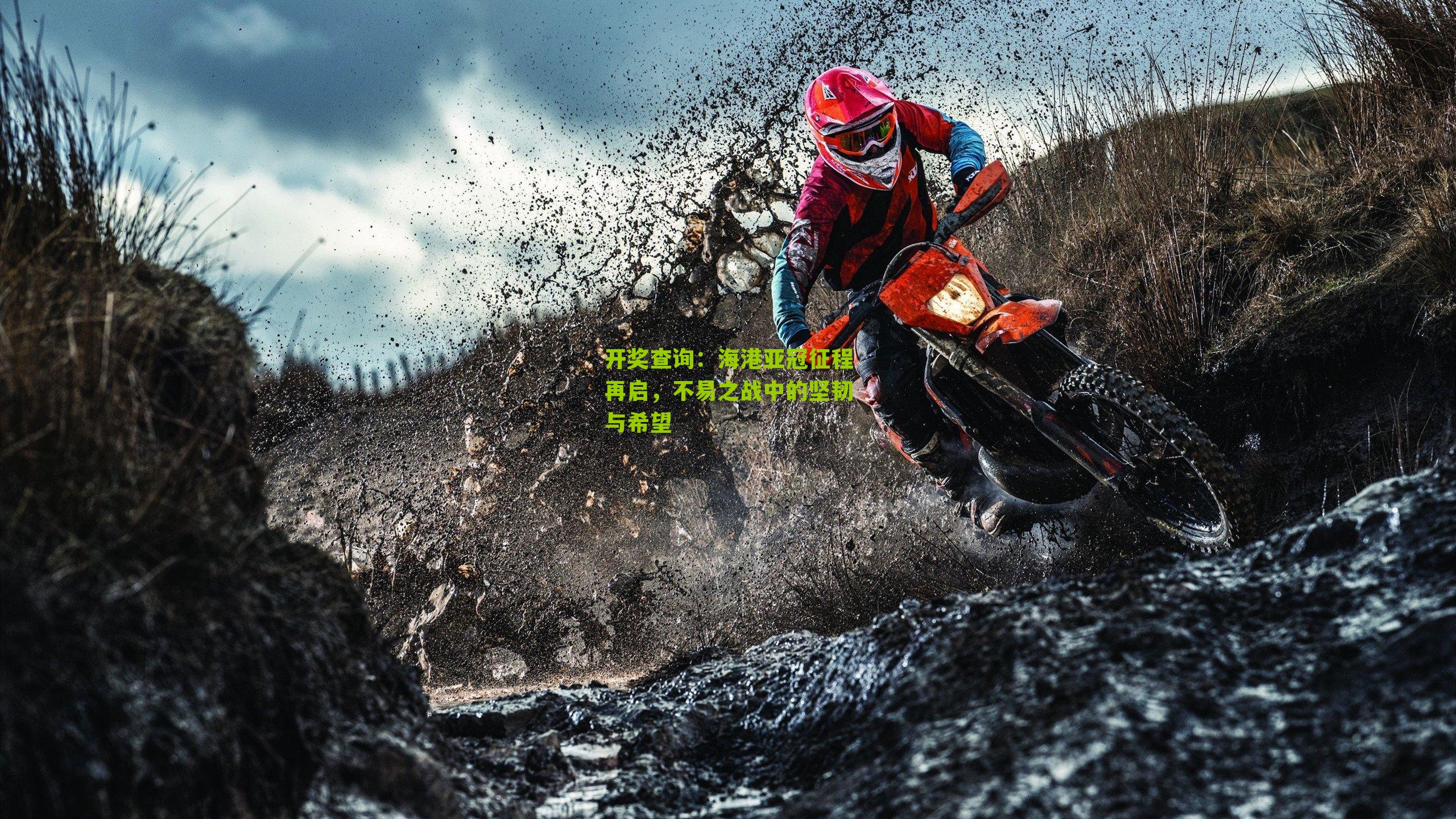 海港亚冠征程再启,不易之战中的坚韧与希望