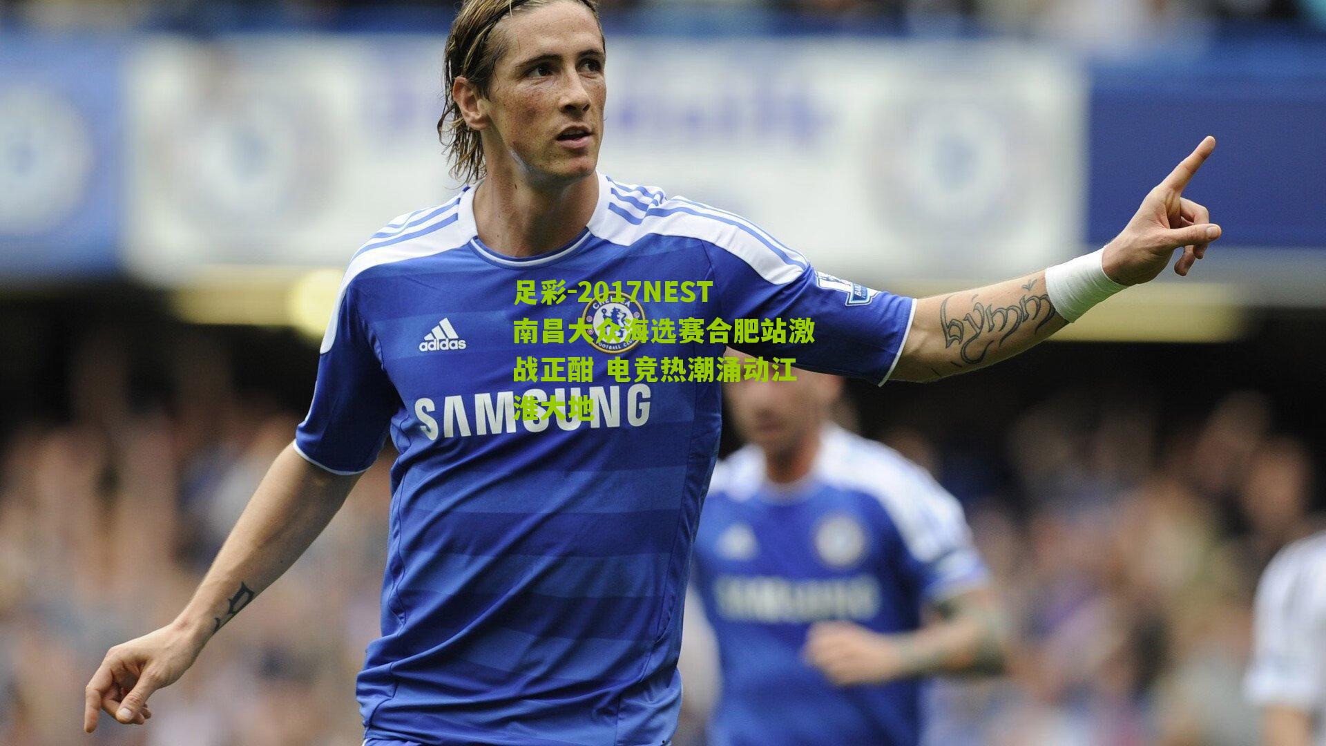 2017NEST南昌大众海选赛合肥站激战正酣 电竞热潮涌动江淮大地